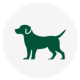 ICON Cao